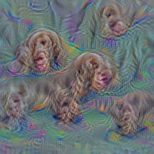 n02102318 cocker spaniel, English cocker spaniel, cocker